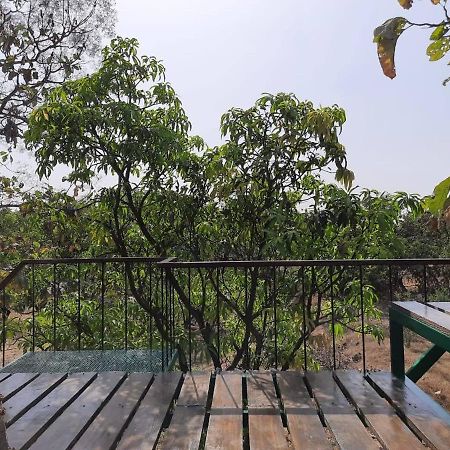 Hornbill Farm Resort Haydarabad Dış mekan fotoğraf