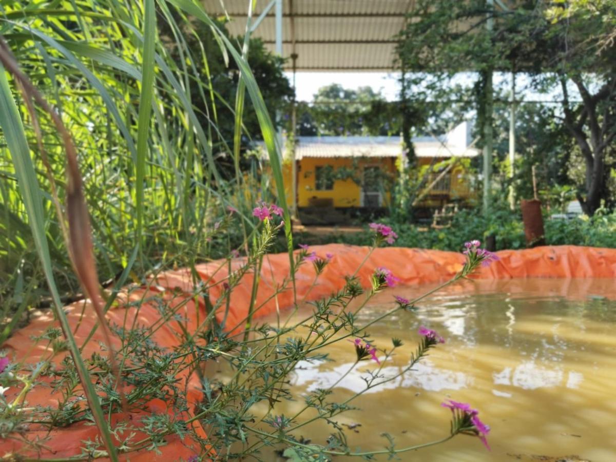 Hornbill Farm Resort Haydarabad Dış mekan fotoğraf